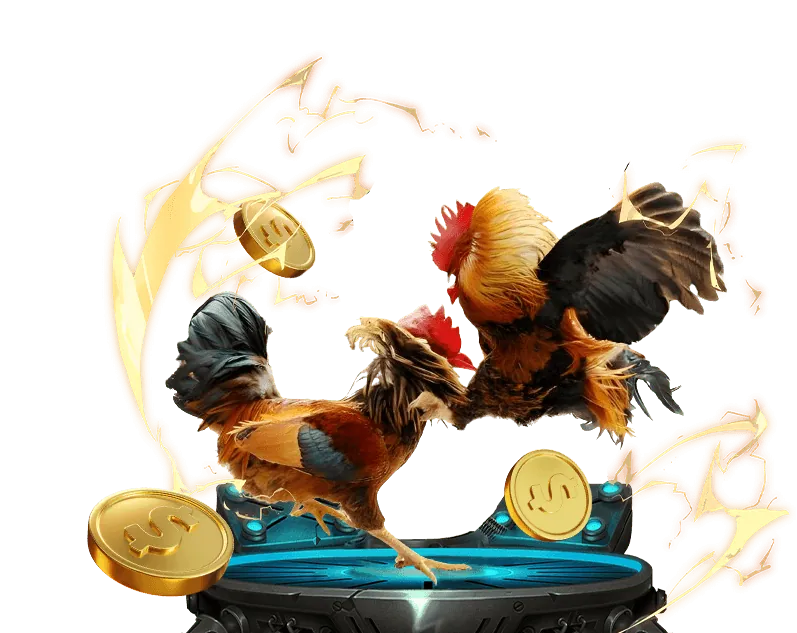 Lịch sử phát triển và sứ mệnh của 123 b